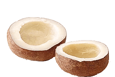 1615039817coconut.png