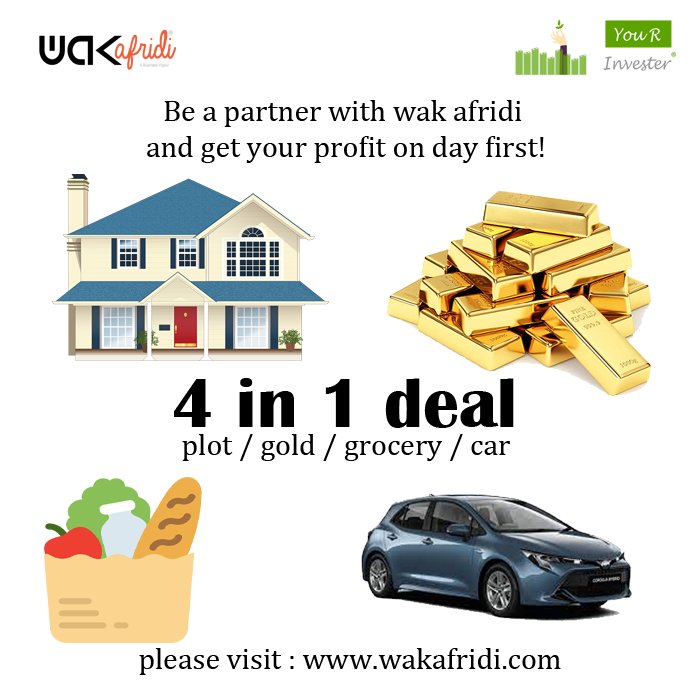 investments in pakistan